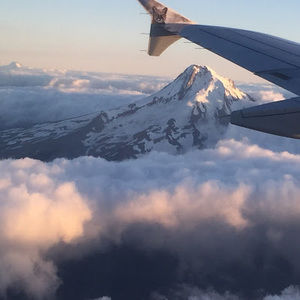 Meet your Posher, Sophia